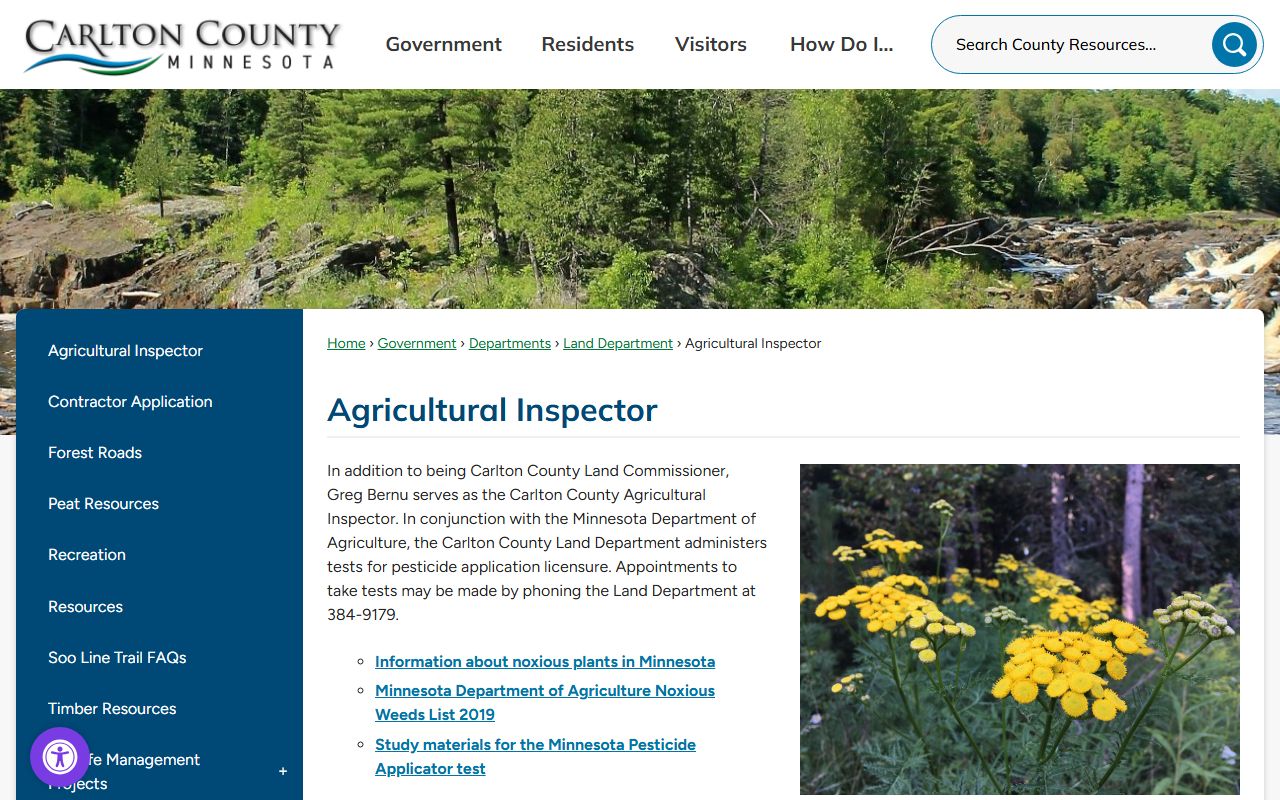 Carlton County District Court website for traffic ticket records