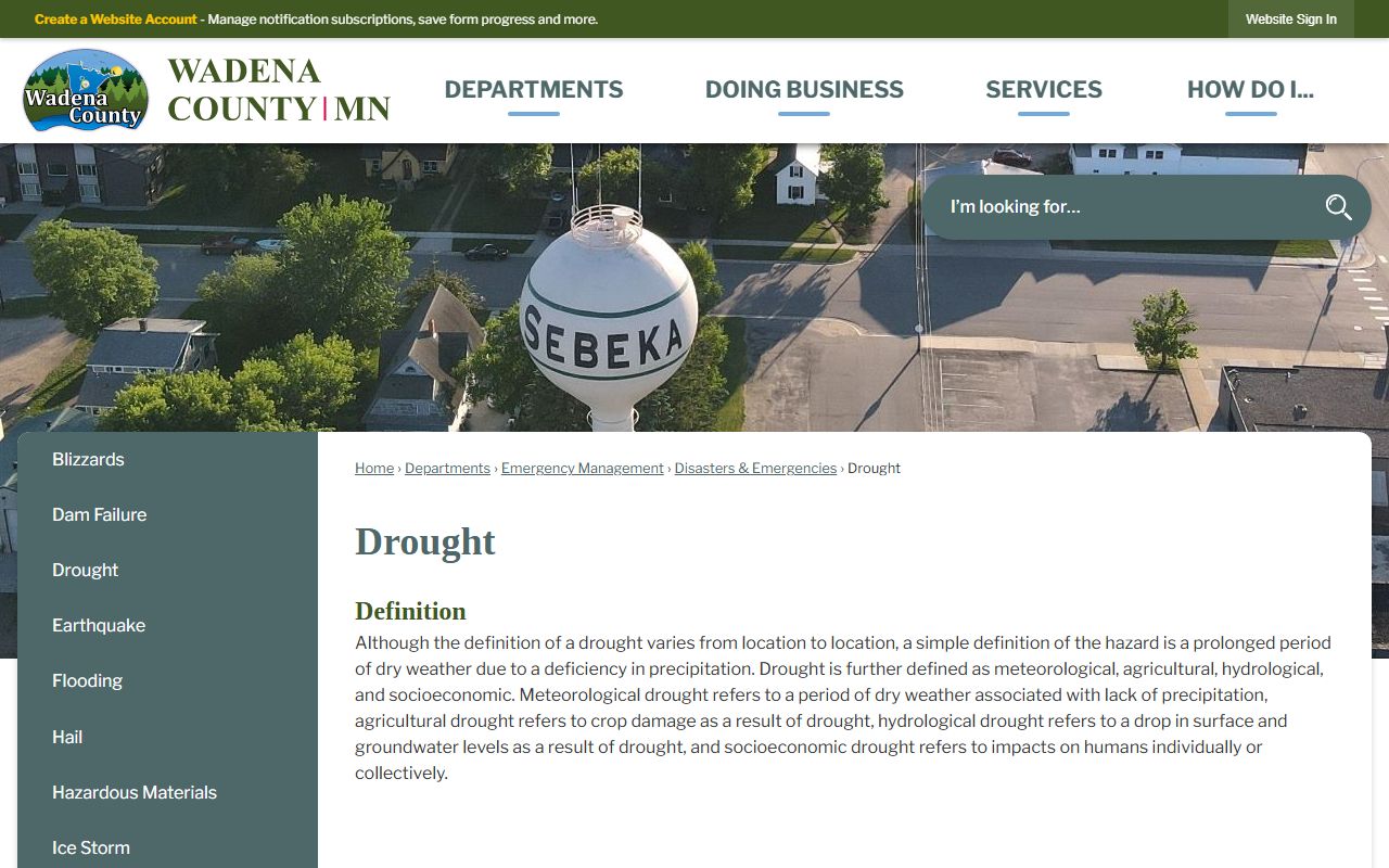 Wadena County District Court website